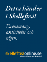 http://www.skellefteaonline.se/